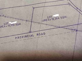  Land for rent in La Union, Ilocos, Rosario, La Union