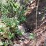  Terreno (Parcela) en venta en San Cristobal De Las Casas, Chiapas, San Cristobal De Las Casas