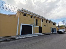 在Campeche出租的1 卧室 公寓, Carmen, Campeche