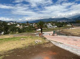  Land for sale in Tumbaco, Quito, Tumbaco