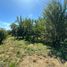  Terreno (Parcela) en venta en Chile, Lanco, Valdivia, Los Ríos, Chile
