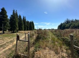  Terreno (Parcela) en venta en Chile, Lanco, Valdivia, Los Ríos, Chile