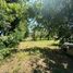  Terreno (Parcela) en venta en Chile, Lanco, Valdivia, Los Ríos, Chile