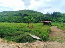  Land for sale in Liloan, Cebu, Liloan