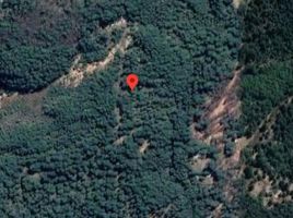  Land for sale in Universidad de la Frontera Campus Pucón, Pucon, Pucon