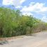  Terreno (Parcela) en venta en Merida, Yucatán, Merida, Yucatán