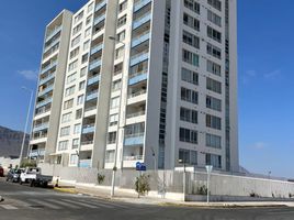1 Habitación Apartamento en venta en Chile, Antofagasta, Antofagasta, Antofagasta, Chile