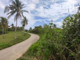  Land for sale in Aloguinsan, Cebu, Aloguinsan