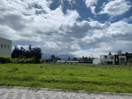  Land for sale in Puembo, Quito, Puembo