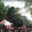 2 Schlafzimmer Wohnung zu verkaufen in Coyoacan, Mexico City, Coyoacan