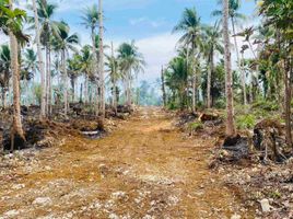  Grundstück zu verkaufen in Surigao del Norte, Caraga, Del Carmen, Surigao del Norte