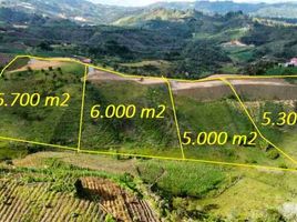  Terreno (Parcela) en venta en San Vicente, Antioquia, San Vicente