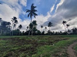  Terrain for sale in Alfonso, Cavite, Alfonso