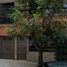 6 Bedroom House for sale in Miguel Hidalgo, Mexico City, Miguel Hidalgo, Mexico City