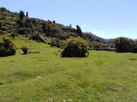  Land for sale in Chile, Chile Chico, General Carrera, Aisen Del General Carlos Ibanez Del Campo, Chile