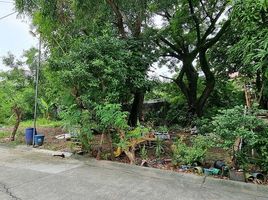  Grundstück zu verkaufen in Muntinlupa City, Metro Manila, Muntinlupa City