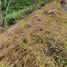  Land for sale in Talisay City, Central Visayas, Talisay City