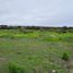  Land for sale in Chile, Vina Del Mar, Valparaiso, Valparaiso, Chile
