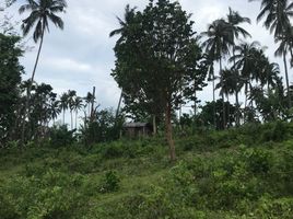  Grundstück zu verkaufen in Negros Oriental, Negros Island Region, Valencia, Negros Oriental