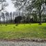 Terreno (Parcela) en venta en Loncoche, Cautín, Loncoche