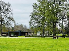  Terreno (Parcela) en venta en Loncoche, Cautín, Loncoche