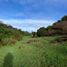  Land for sale in Los Lagos, Chonchi, Chiloe, Los Lagos