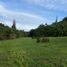  Land for sale in Los Lagos, Chonchi, Chiloe, Los Lagos