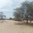 Terrain à vendre à Tambo Grande, Piura, Tambo Grande, Piura, Piura, Pérou