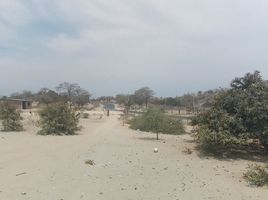 Terrain à vendre à Tambo Grande, Piura, Tambo Grande, Piura, Piura, Pérou