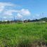  Land for sale in Guayas, Samborondon, Samborondon, Guayas