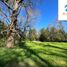  Terreno (Parcela) en venta en Cautín, Araucanía, Villarrica, Cautín