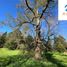  Terreno (Parcela) en venta en Cautín, Araucanía, Villarrica, Cautín