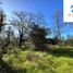  Terreno (Parcela) en venta en Cautín, Araucanía, Villarrica, Cautín