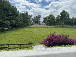  Terrain for sale in Tumbaco, Quito, Tumbaco