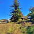  Terreno (Parcela) en venta en Ñuble, Ránquil, Itata, Ñuble