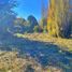  Terreno (Parcela) en venta en Ñuble, Ránquil, Itata, Ñuble