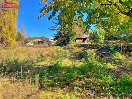  Terreno (Parcela) en venta en Ñuble, Ránquil, Itata, Ñuble