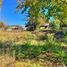  Land for sale in Ranquil, Nuble, Ranquil