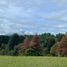  Land for sale in Universidad de la Frontera Campus Pucón, Pucon, Pucon