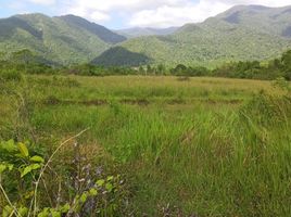  Land for sale in Narra, Palawan, Narra