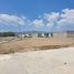  Land for rent in Pachuca De Soto, Hidalgo, Pachuca De Soto