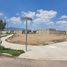  Land for rent in Pachuca De Soto, Hidalgo, Pachuca De Soto