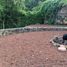  Grundstück zu verkaufen in Tepoztlan, Morelos, Tepoztlan, Morelos