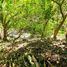  Terreno (Parcela) en venta en Dist Pochutla, Oaxaca, Dist Pochutla