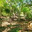  Terreno (Parcela) en venta en Dist Pochutla, Oaxaca, Dist Pochutla