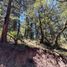  Land for sale in Mineral Del Chico, Hidalgo, Mineral Del Chico