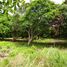  Land for sale in Pototan, Iloilo, Pototan