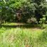  Land for sale in Pototan, Iloilo, Pototan