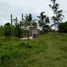  Land for sale in Pototan, Iloilo, Pototan