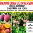  Land for sale in San Blas Nayarit, San Blas